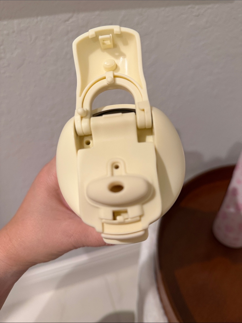NWT Hydrojug Keepsake and Bouquet 24oz Ease2o - Picture 10 of 12